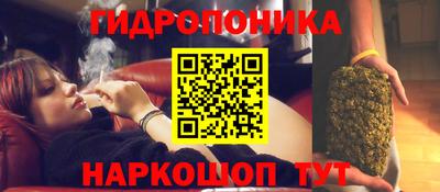 соль ск Пушкино