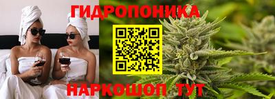 соль ск Пушкино