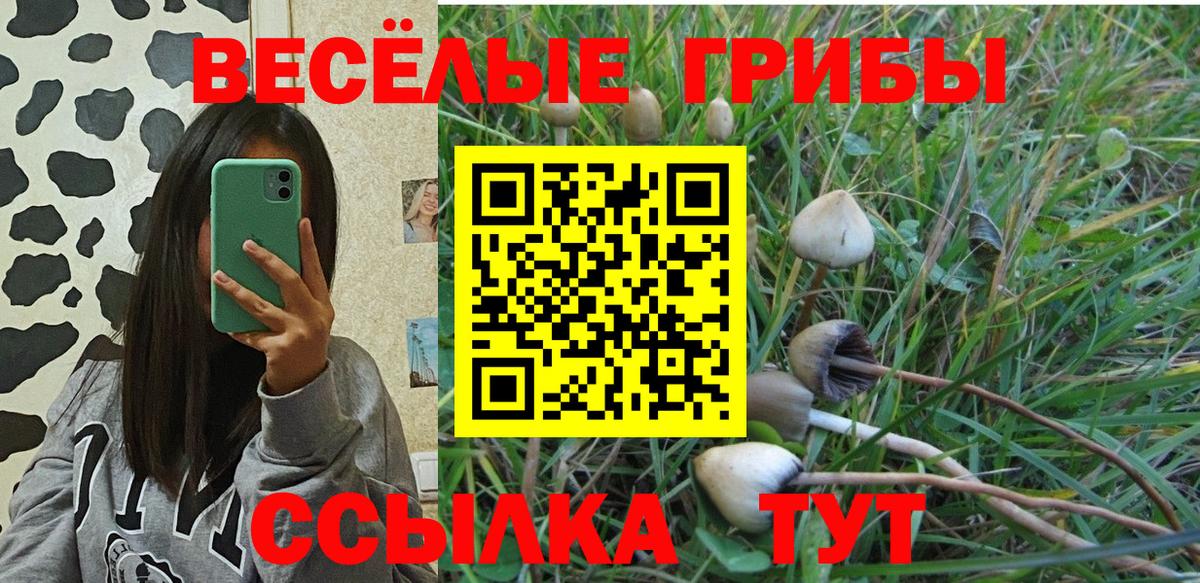 Галлюциногенные грибы ЛСД Симферополь