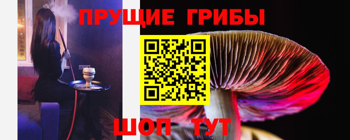 Симферополь  Псилоцибиновые грибы Psilocybe  Вход с VPN  Псилоцибиновые грибы прущие грибы 